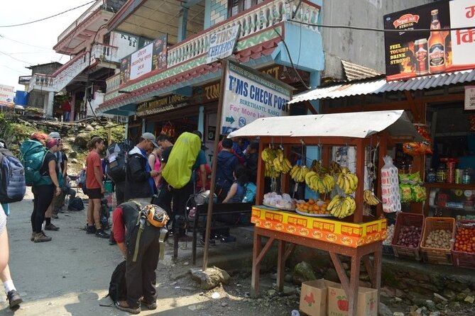 Kathmandu Walking Tour - Price check: why $26 can be good value for a private guide