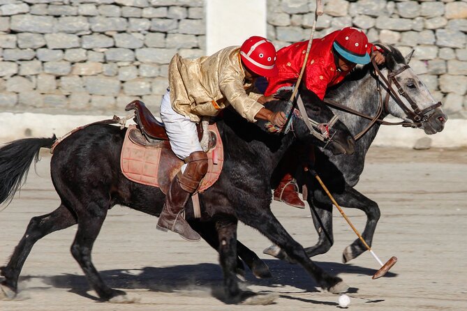 Ladakh 5-Star Premium Tour 7 Days - Leh Day 2: from royal ruins to optical illusions and UNESCO Alchi