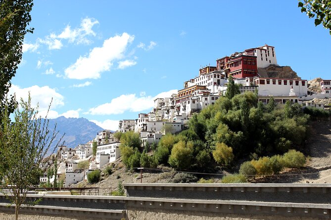 Ladakh 5-Star Premium Tour 7 Days - What your premium price actually buys: comfort, logistics, and altitude support