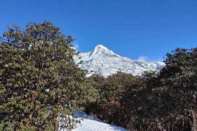 Mardi Himal Trek - Pokhara start at 10:45: Dhampus, private transport, and getting moving