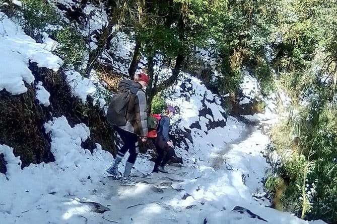 Mardi Himal Trek - What’s included (and what that means for your real comfort)