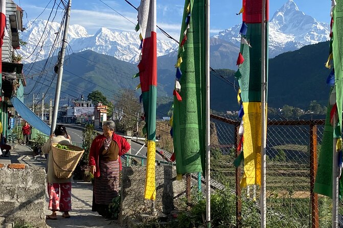 Morning Half Day Tibetan cultural tour to Tibetan Settlements - Pema Tsal Sakya Monastic Institute: meeting a young monk and learning education