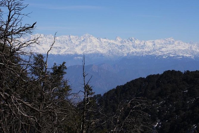 Naag Tibba Trek - What this trek feels like in real life: the pacing, the views, the village feel