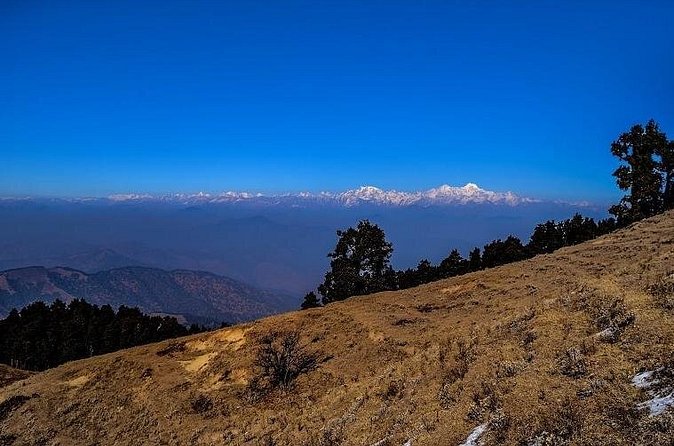 Nag Tibba 2 Days Trek (Pantwari to Pantwari) - Guides and group size: why support really matters on a tough two-day climb