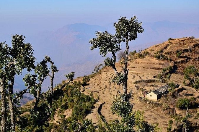 Nag Tibba 2 Days Trek (Pantwari to Pantwari) - Who should do this Nag Tibba weekend trek (and who shouldn’t)