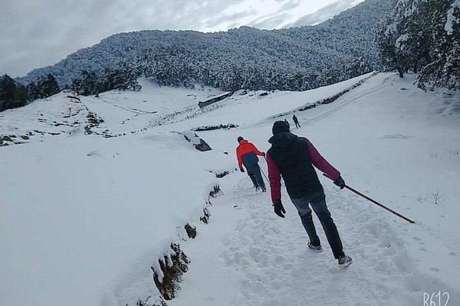 Nagtibba Trek (Dehradun to Dehradun) - Key points before you go