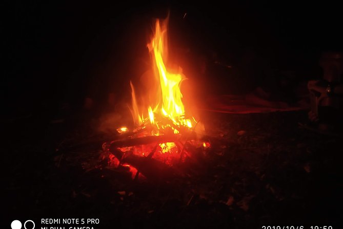 Nagtibba Trek (Dehradun to Dehradun) - Price and value: is $113.48 a good deal?