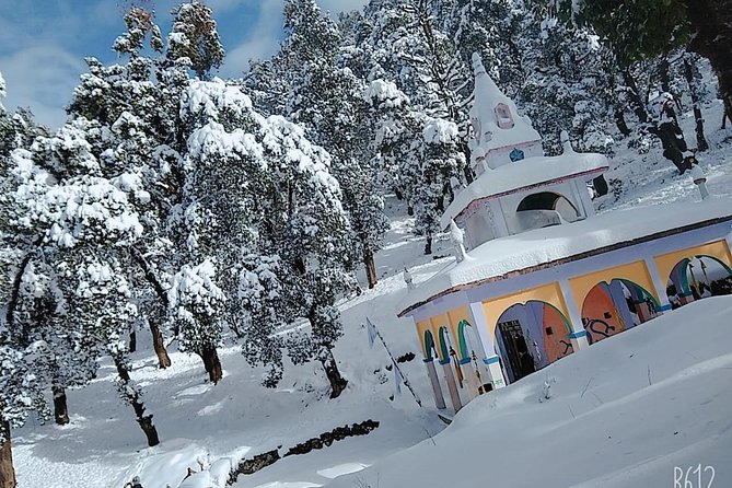 Nagtibba Trek (Dehradun to Dehradun) - Weather, sunrise timing, and how to plan without stress