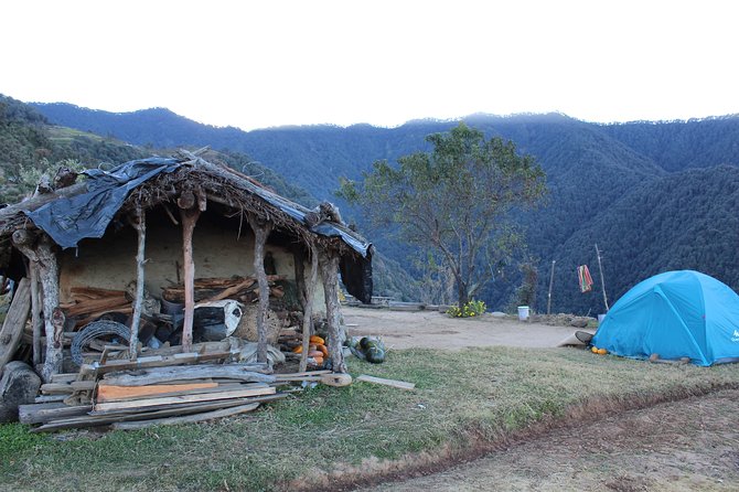 Nagtibba Trek (Dehradun to Dehradun) - Who should book this Nag Tibba trek (and who may not love it)