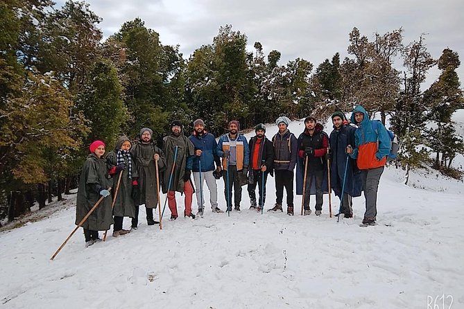 Nagtibba Trek (Dehradun to Dehradun) - Day 2: 3:30 a.m. start for Nag Tibba sunrise payoff