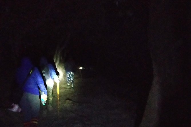 Nagtibba Trek (Pantwari to Pantwari) - Guide team and group vibe: Sanjay Bhaiya and Sardar ji set the tone