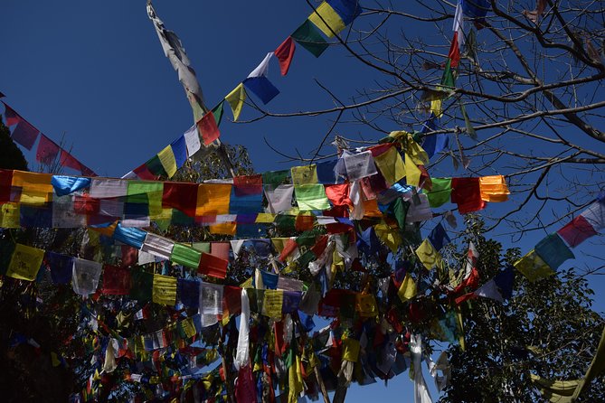 Namo Buddha and Thrangu Tashi Yangtse Monastery Half-Day Tour - Getting from Kathmandu: the included transfer advantage