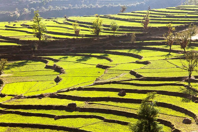 Namobuddha Monastery Hiking Day Tour via Panauti from Kathmandu - Namobuddha hilltop: the sacred feeling is the point