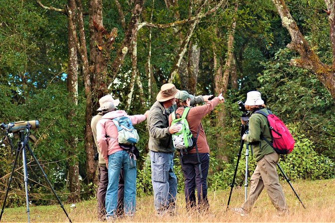 Nepal Birding - The timing window: plan your morning like a birder