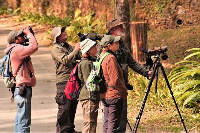 Nepal Birding - Where the views come in (and what to ask your guide)