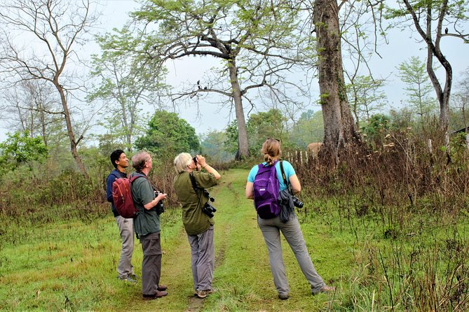 Nepal Birding - How good are the guides, really?