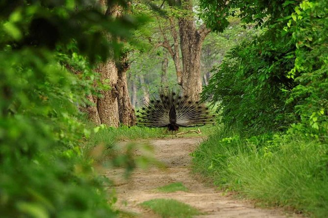 Nepal Classic Tour -12 Days - Lumbini: Buddha’s birthplace with heritage anchors