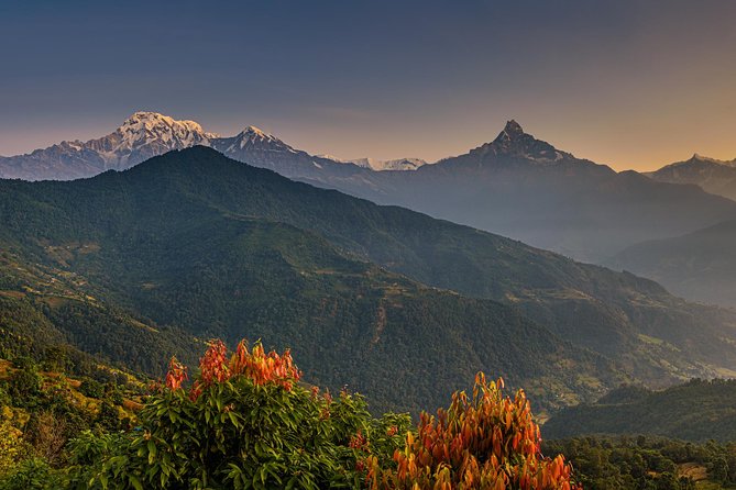Nepal Cultural Highlights Tour in 10 Days - Kathmandu in real life: Thamel arrival and your first temple circuit