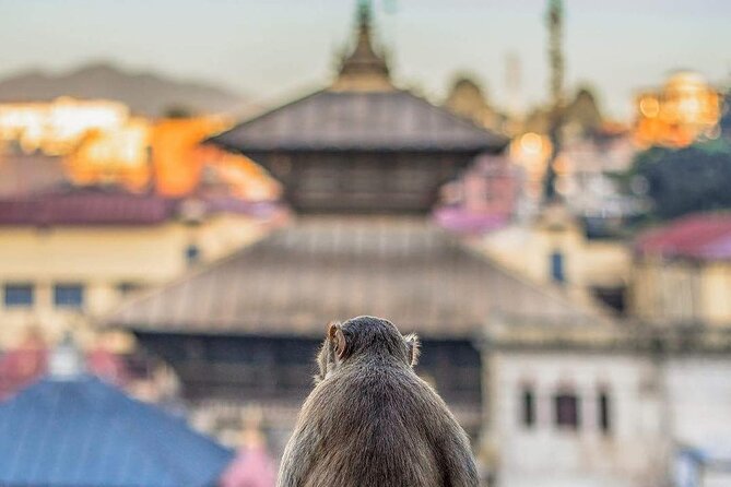 PashupatiNath and BoudhaNath - Private/Small Group - Guhyeshwari Shaktipeeth: Satidevi and the idea of Shaktipeeth