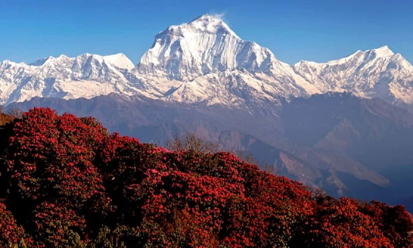 Pokhara: 3-Day Ghorephani and Poon Hill Private Trek - Day 2: Ulleri to Ghorepani, with views and village stops