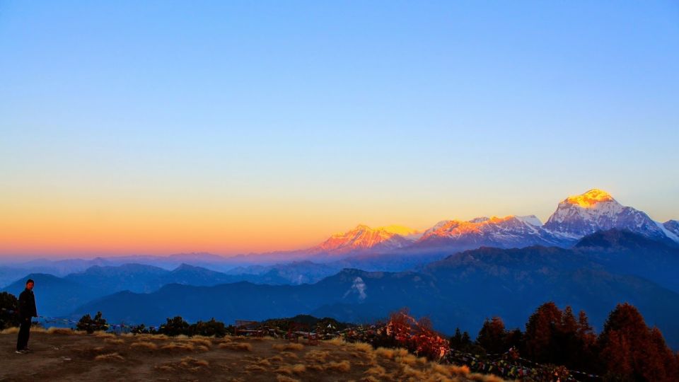 Pokhara: 4-Day Beautiful Ghorepani Poon Hill & Ghandruk Trek - Ulleri to Ghorepani: Stone Steps, Alpine Forest, and Big-View Breaks