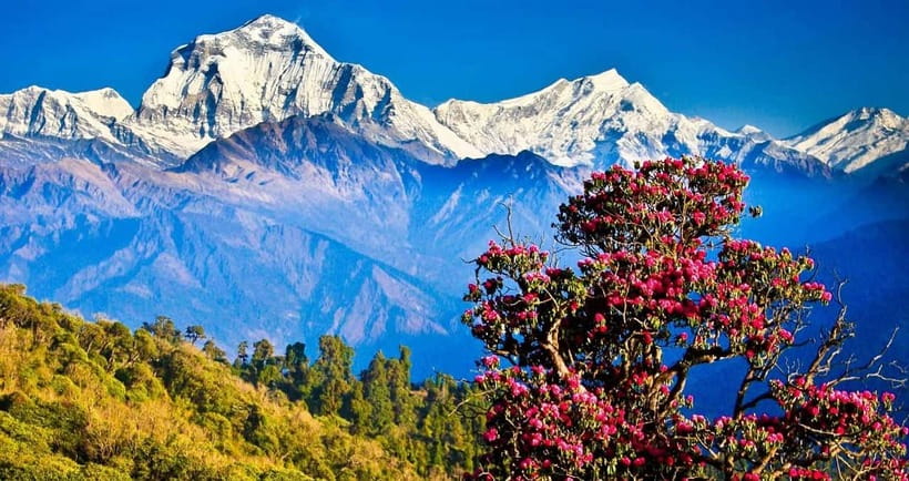 Pokhara: 4-Day Ghorepani, Poonhill & Ghandruk Mountain Trek - Pokhara-to-Himalaya: why this 4-day trek hits hard