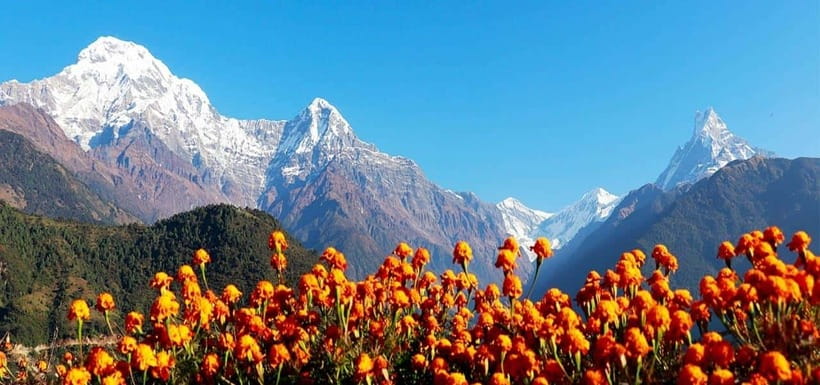 Pokhara: 4-Day Ghorepani, Poonhill & Ghandruk Mountain Trek - Day 1 (Pokhara → Nayapool → Ulleri): your first steps into trek country