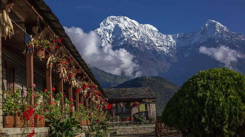 Pokhara: 4-Day Ghorepani, Poonhill & Ghandruk Mountain Trek - Transport, pickup, and tea-house rhythm: the logistics you’ll actually care about