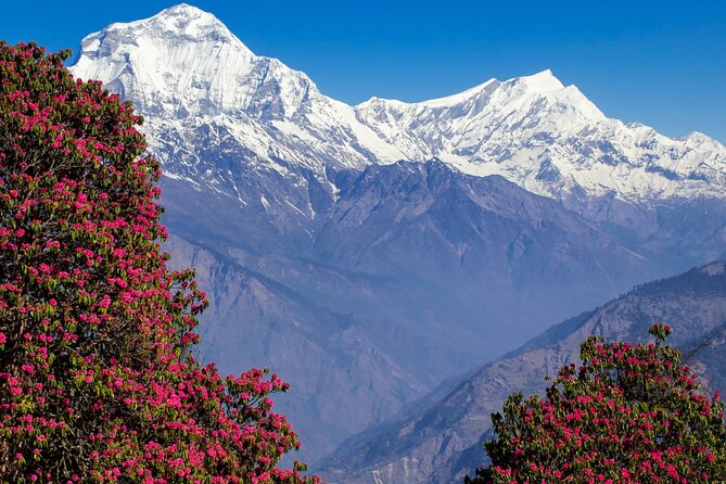 Pokhara: 4 Days Poon Hill and Ghandruk Trek - Day 4: Explore Ghandruk, then the 4WD ride back to Pokhara