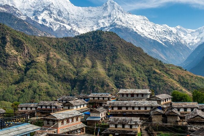 Pokhara: 4 Days Poon Hill and Ghandruk Trek - Meals and teahouses: included comfort and what “simple” usually means
