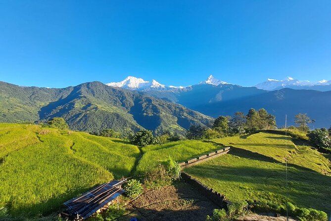 Pokhara: Easy Day Hike to Australian Camp & Dhampus Village - Australian Camp: what you’re really paying for
