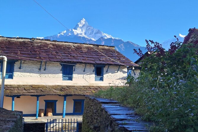 Pokhara: Easy Day Hike to Australian Camp & Dhampus Village - Guides and English clarity: what it means for your experience