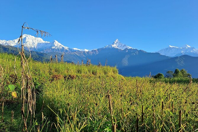 Pokhara: Easy Day Hike to Australian Camp & Dhampus Village - How hard is it, really? (stairs, pace, and comfort)