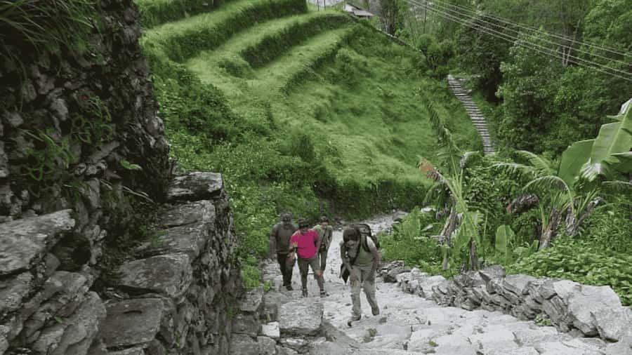 Pokhara: Guided Day Hike From Dampus To Australian Base Camp - Key highlights to know before you go