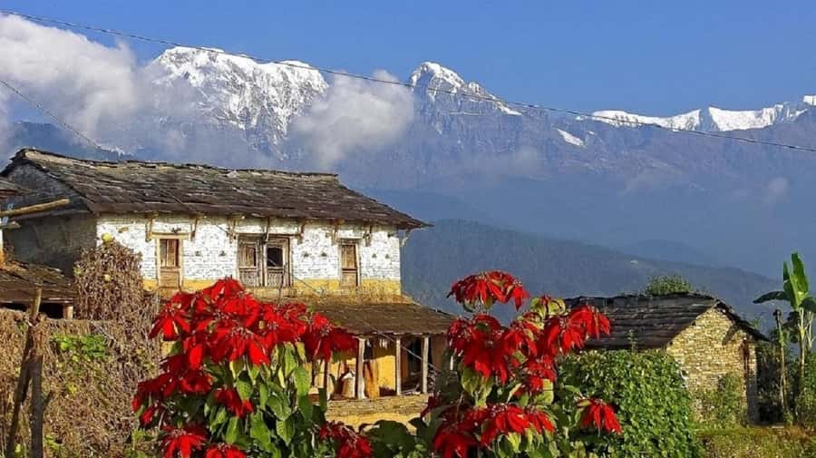 Pokhara: Guided Day Hike From Dampus To Australian Base Camp - Should you book this Dhampus to Australian Camp hike?