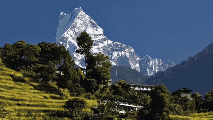 Pokhara: Guided Day Hike From Dampus To Australian Base Camp - From Pokhara to Dhampus: the ride that sets the mood