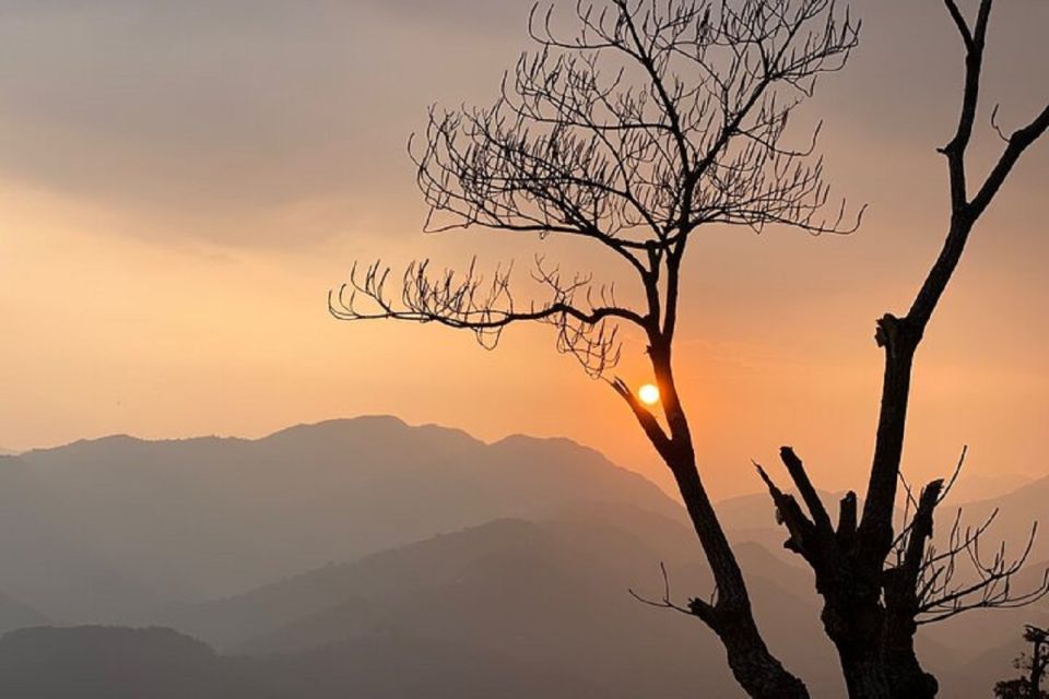 Pokhara: Guided Day Hike From Dampus To Australian Base Camp - Who should choose Dhampus to Australian Camp, and who might not