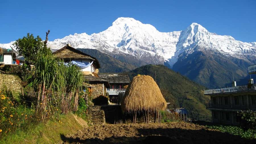 Pokhara: Guided Day Hike From Dampus To Australian Base Camp - Tips to make your Australian Camp day smoother