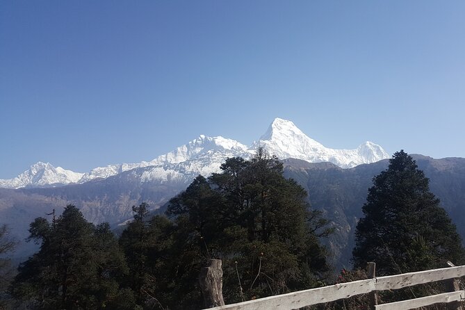 Poon hill Trek 3 days - Why the guide and porter setup is a real advantage