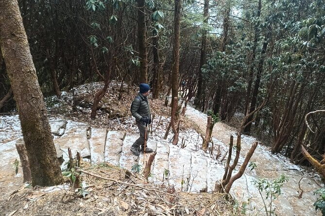 Poon Hill Trek from Pokhara 4 Days - What a Typical Day Feels Like (So You Can Plan Smart)