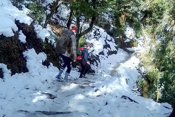Poon Hill Trek package - Guide Quality and Small-Group Pacing Matter More Than You Think