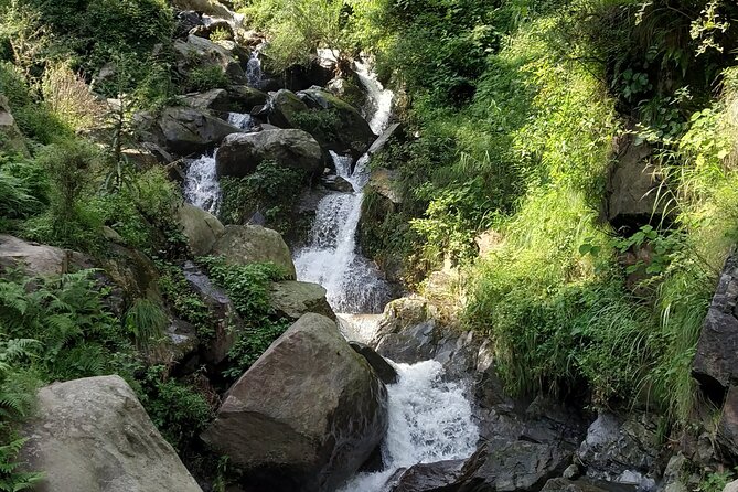 Private 6 hrs Mcleodganj & Dharamshala City Tour - Pickup, Private Transport, and the Reality of Mountain Traffic