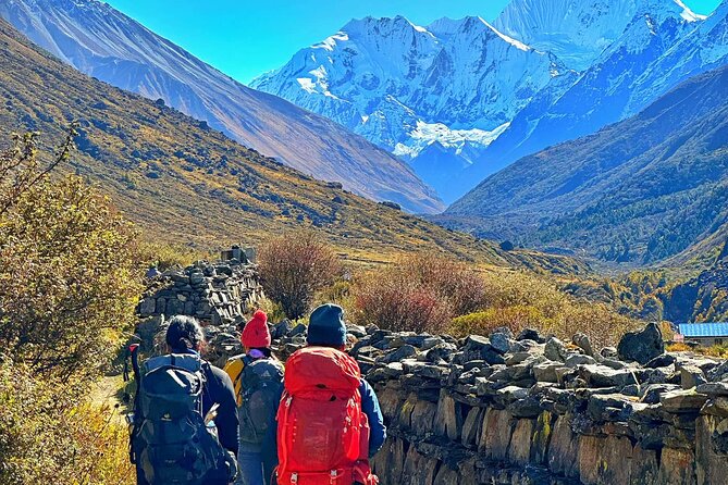 Private 8 - Day Langtang Trekking - Day 3: The climb to Langtang Village through thicker forests