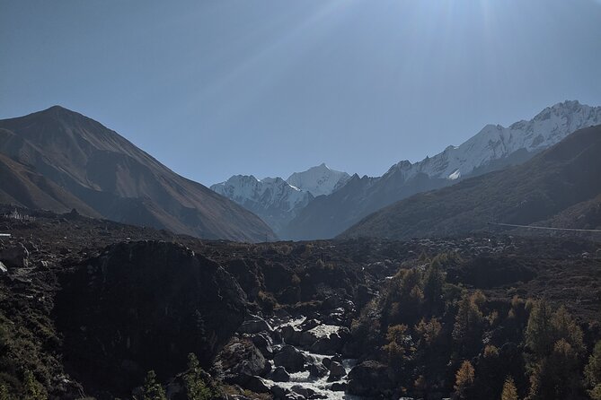 Private 8 - Day Langtang Trekking - Day 6: Back down toward Lama Hotel through rhododendron forest