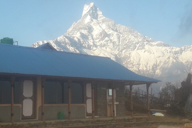 Private Mardi Himal Trek - Forest Camp and Low Camp: the “mid-trek” day where views build