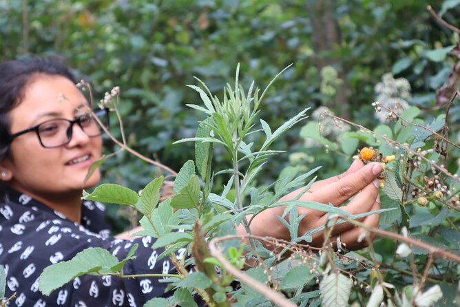 Private Tour in Pokhara Nepal with a Local Guide - Stop 2 in Armala: rainforest drive, village time, and local food
