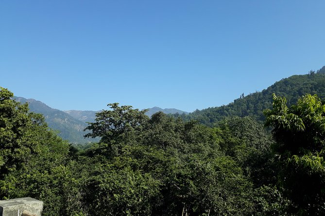 Rishikesh: Beatles Ashram Art & Meditation Walking Tour - Swargashram: The Big Meditation Center Feel (and Why It Matters)