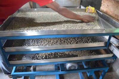 Sarangkot Village Coffee Culture and Authentic Local Life Tour - Stop-by-stop: from Phewa Lake shores to Sarangkot’s coffee farms
