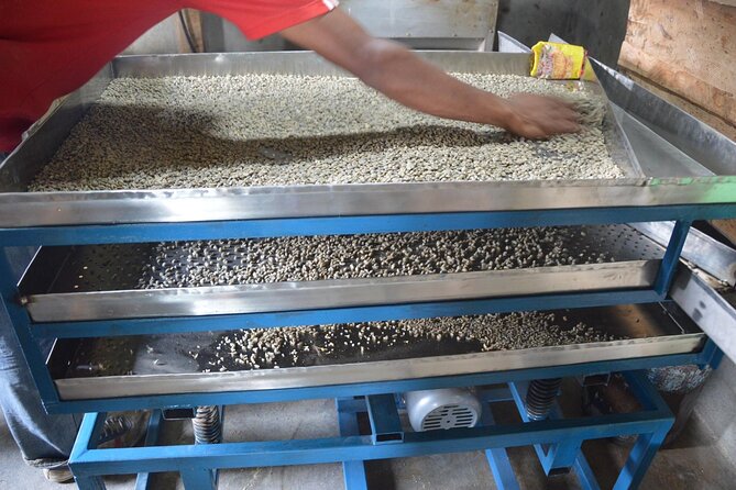 Sarangkot Village Coffee Culture and Authentic Local Life Tour - Stop-by-stop: from Phewa Lake shores to Sarangkot’s coffee farms