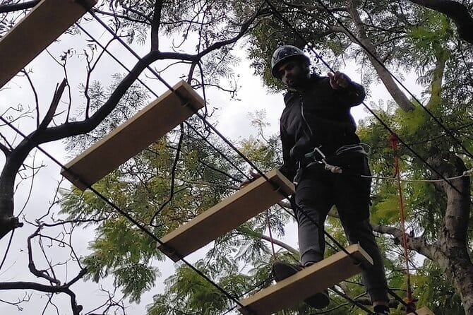 Tea Top Adventure Activities - Where It Fits in Your Day: Pairing with Other Kangra Valley Fun